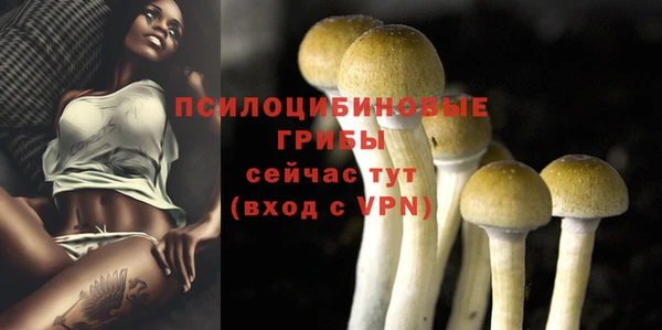 ECSTASY Киренск