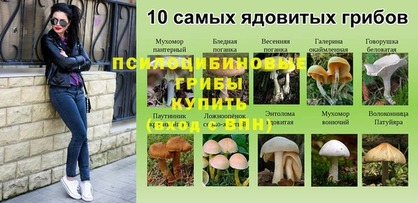 амф Кинешма
