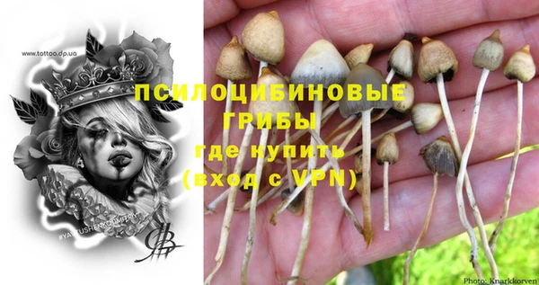 ALPHA PVP Киреевск