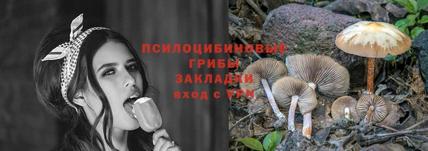 ALPHA PVP Киреевск