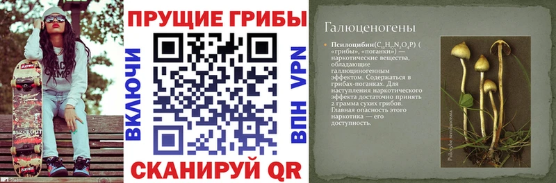 Галлюциногенные грибы Magic Shrooms  купить наркоту  Ессентуки 